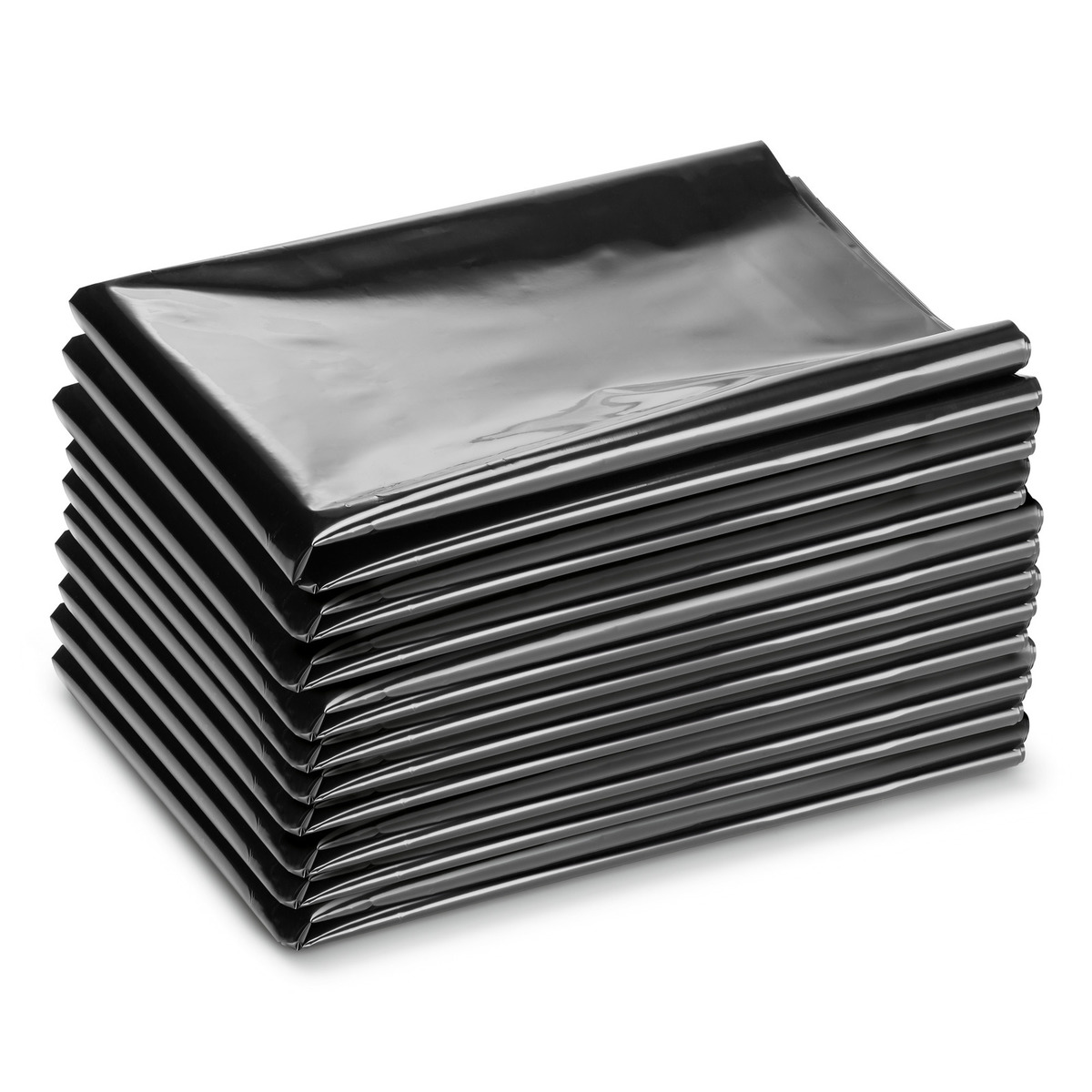 Kärcher Plastic Bag for Dust-Free Disposal